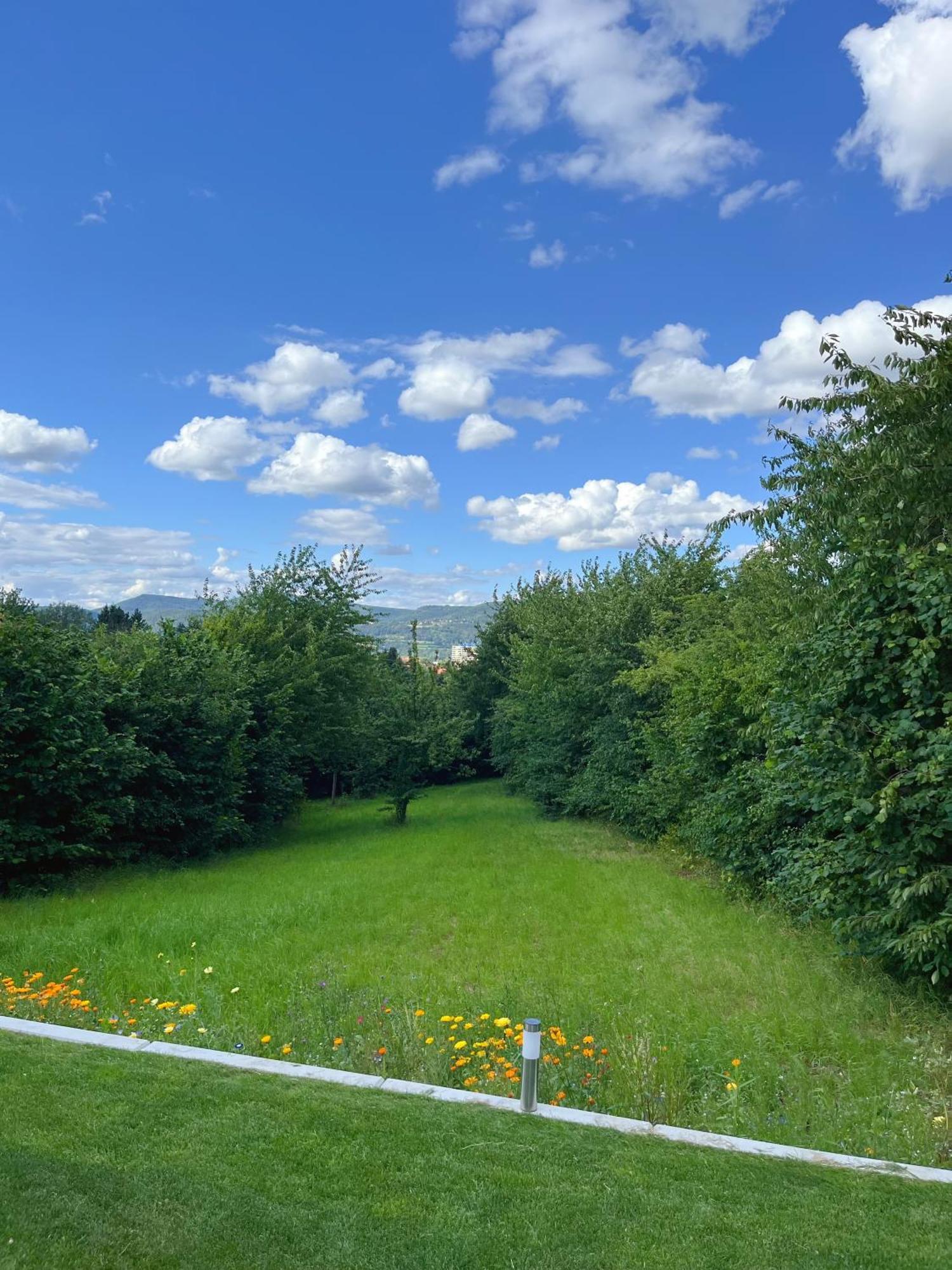 Neu Sanierte Wohnung Fuer 2-4 P Eschwege Esterno foto